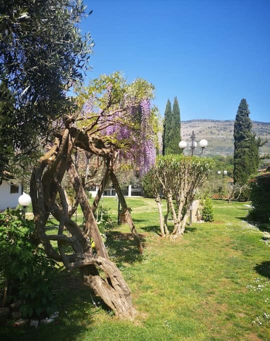 Villetta Blue Garden Sonnino Extérieur photo