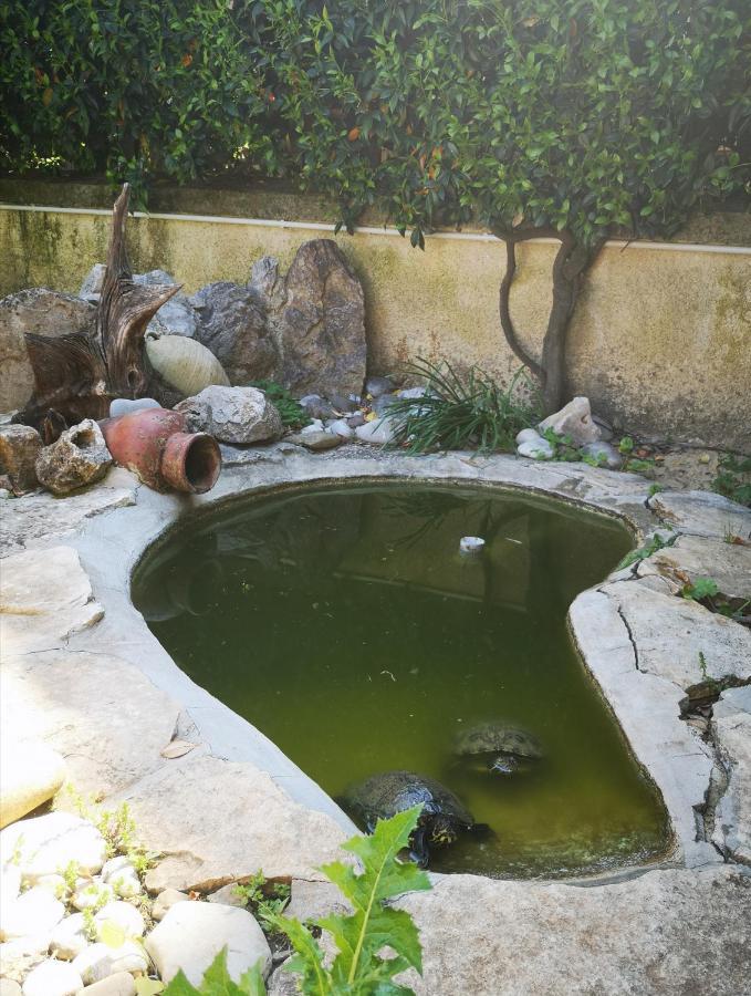 Villetta Blue Garden Sonnino Extérieur photo