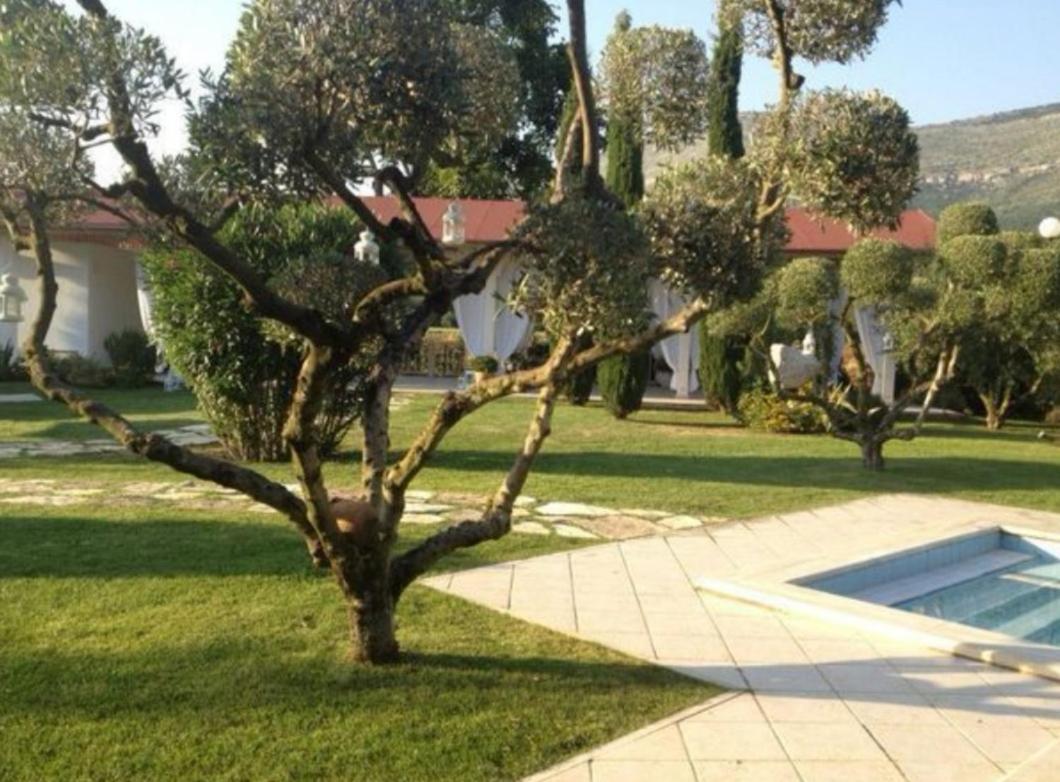 Villetta Blue Garden Sonnino Extérieur photo